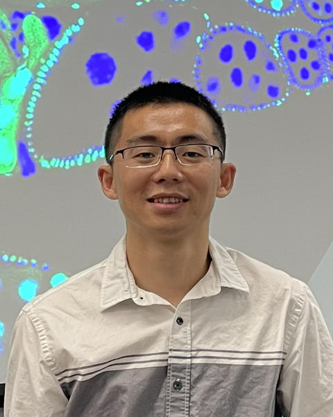 Head shot of Yicheng Luo