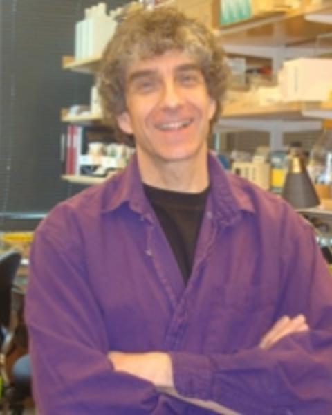 Rich Binari